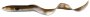 Real Eel 15cm Olive Pearl NL 3szt