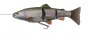 4D Line Thru Trout 20cm MS Rainbow