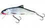 Skinner Real Grey Shiner Fl 10cm