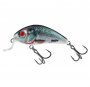 H3 5SR HOLOGRAPHIC REAL DACE