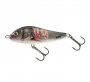 RN11S SUPERNATURAL WOUNDED DACE
