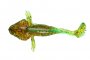 Bulhead 7cm FG