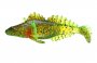 Bulhead 7cm FG