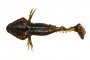 Bulhead 7cm BR