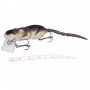BBZ1 RAT Jr40 BROWM