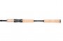 Beastmaster EX 2.10m 50-100g