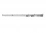 Big Bait X-Cast 120 228cm 50-120g