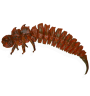 BigFatBug 11cm Karotka 4szt