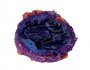 LK CUC! RAISIN 50g Plum