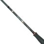 City Liner PLUS Pike Spin 2,30m 6-25g