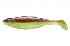 Realistic Shad Płoć 12cm P12 040
