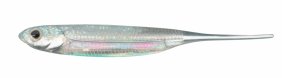 Fisharrow Flash J 3