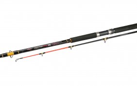Wędka Mikado Cat Fish 300 300g