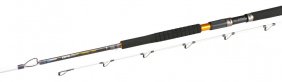 Wędka Mikado Baltix Trolling 240 10-30Lbs