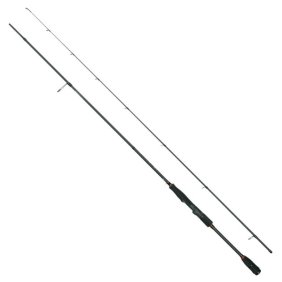 City Liner PLUS Pike Spin 2,30m 6-25g