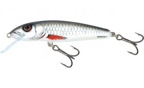 Salmo Minnow Dace Sink 5cm
