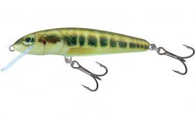 Salmo Minnow Minnow Fl 6cm