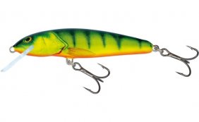 Salmo Minnow Hot Perch Sink 7cm