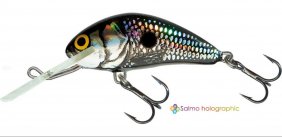 Salmo Hornet Black Silver Shad Sink 4cm