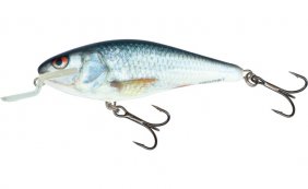 Salmo Executor Real Dace Fl Sdr 7cm