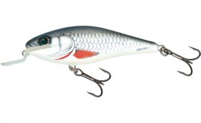 Salmo Executor Dace Fl Sr 7cm