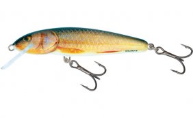 Salmo Minnow Real Roach Fl 6cm