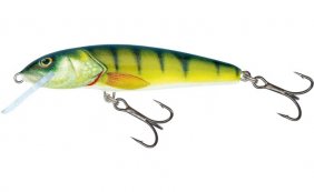 Salmo Minnow Perch Fl 7cm