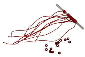 Stopery Sznurkowe Medium MatchPro