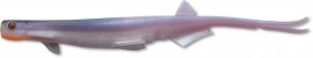 Quantum Pelagic Shad opening night 25cm