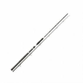 Wędka sumowa Penn LEGION CAT SILVER Allround 300 100-300g