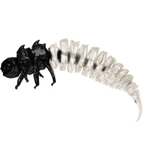 Larwa BigFatBug 7cm Pearl Larve